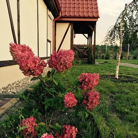 Holiday home Osada Pod Dinozaurami Domki Leba/